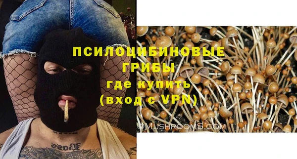spice Касимов
