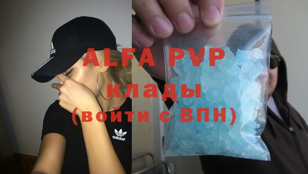 дживик Карпинск