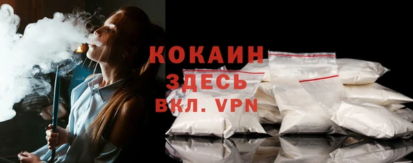 дживик Карпинск