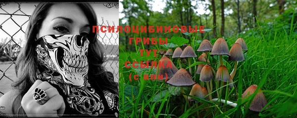 дживик Карпинск