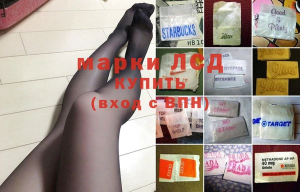 дживик Карпинск