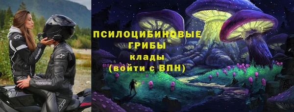дживик Карпинск