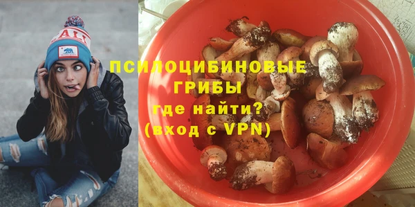 spice Касимов