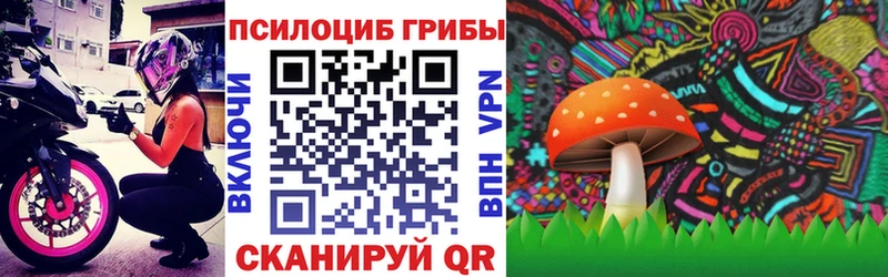 Купить закладки  Валдай  Галлюциногенные грибы ЛСД 