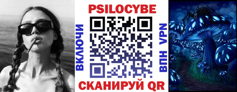 Галлюциногенные грибы Psilocybine cubensis Валдай